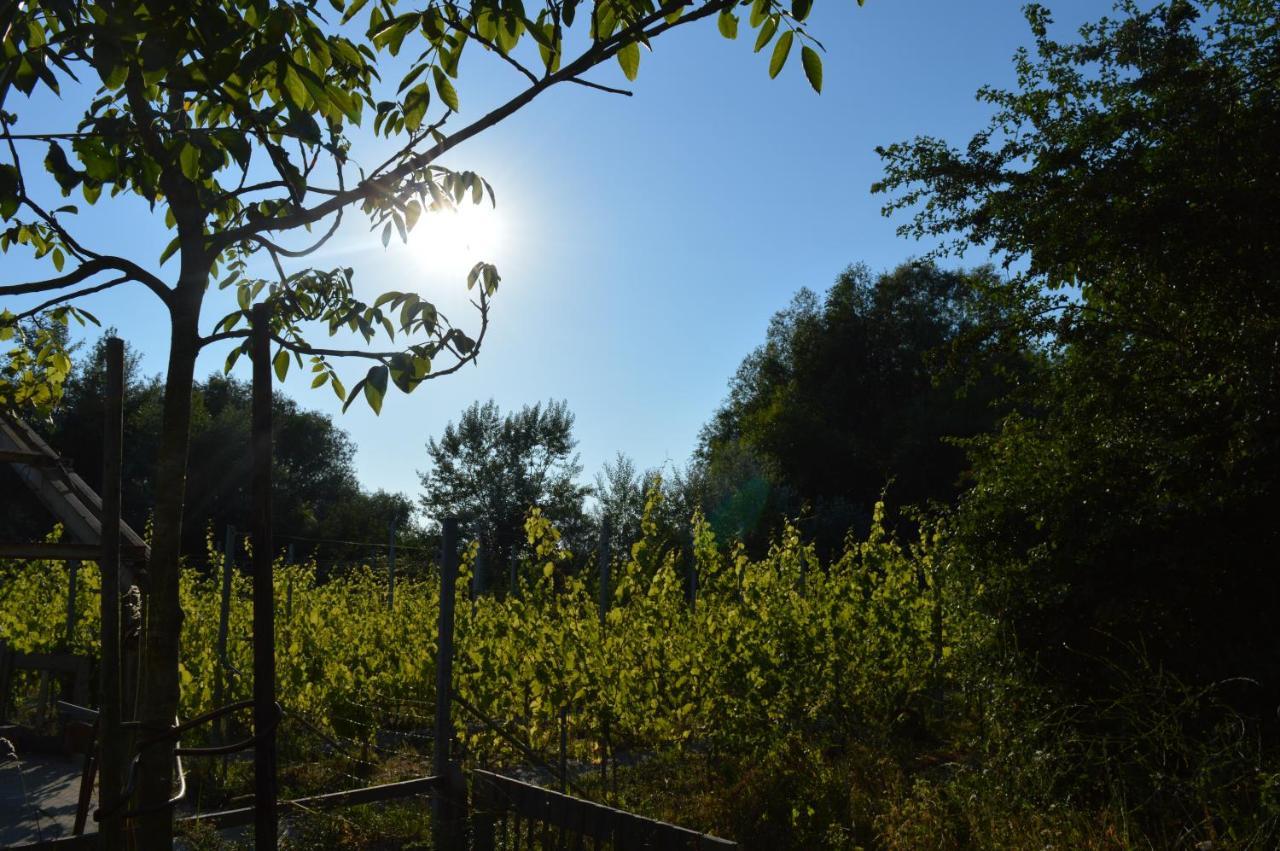 Natuurlijk Genieten Bemmel Esterno foto